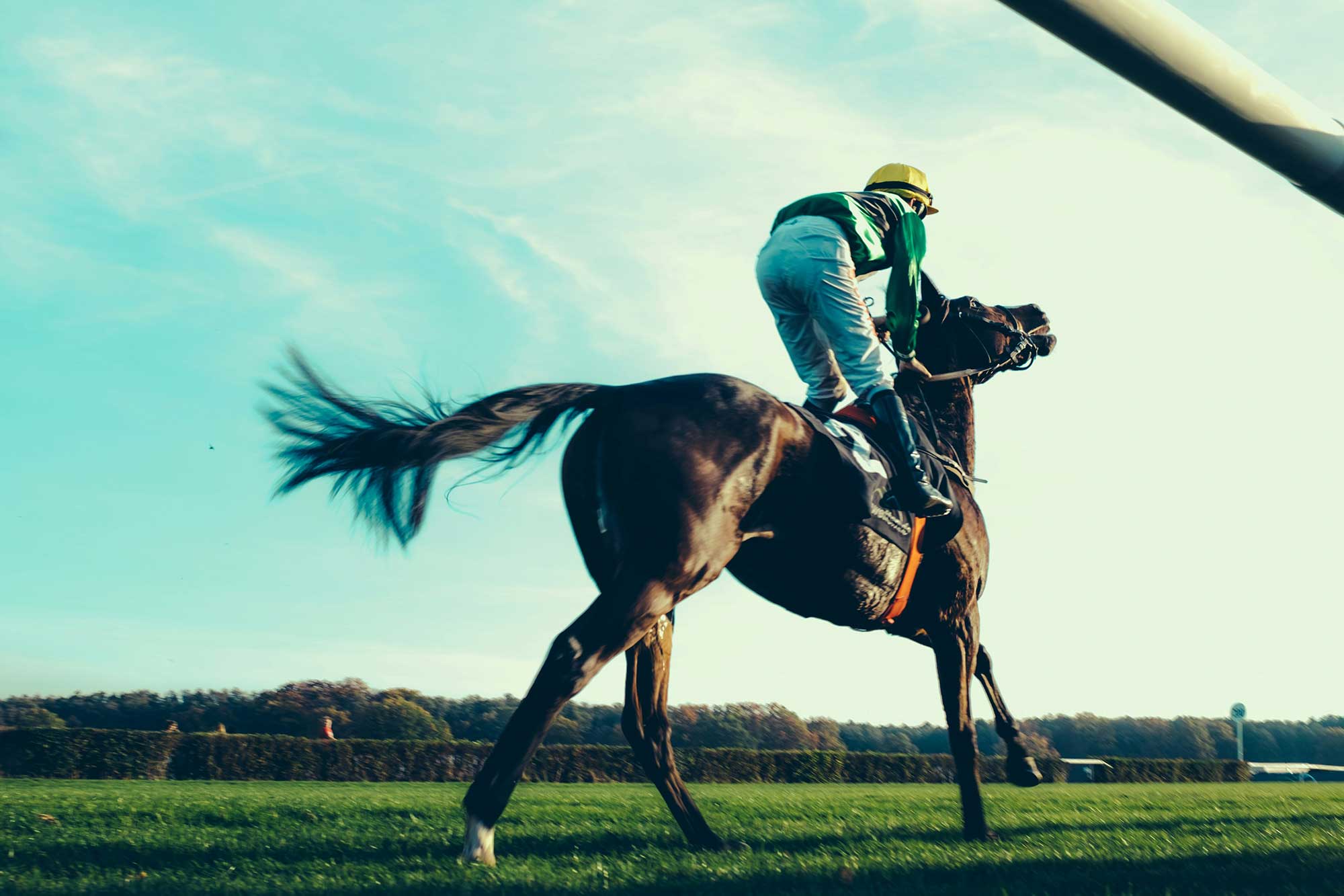 Cheltenham Horse Races